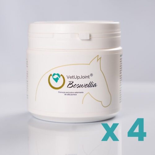 Boswellia caballos vetupjoint x 4