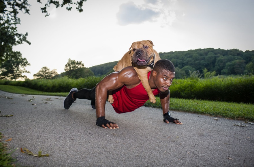 deporte en perros 2