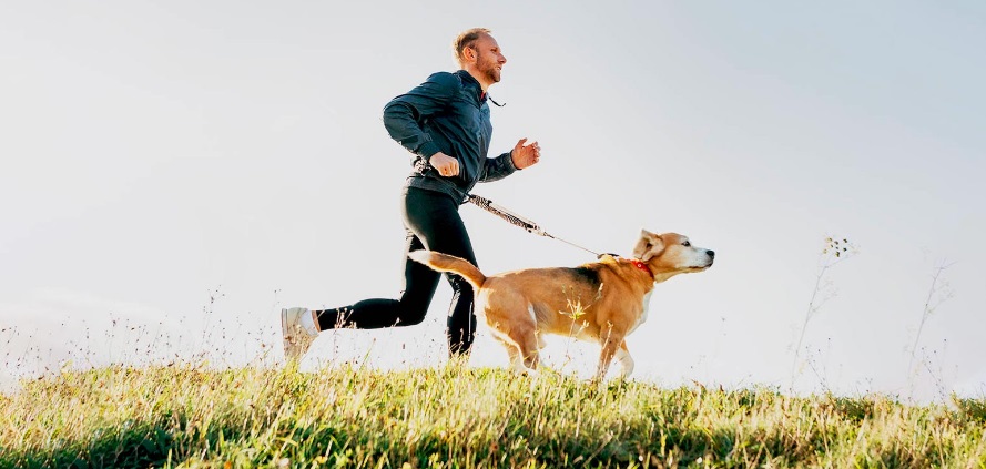 deporte perros hombre