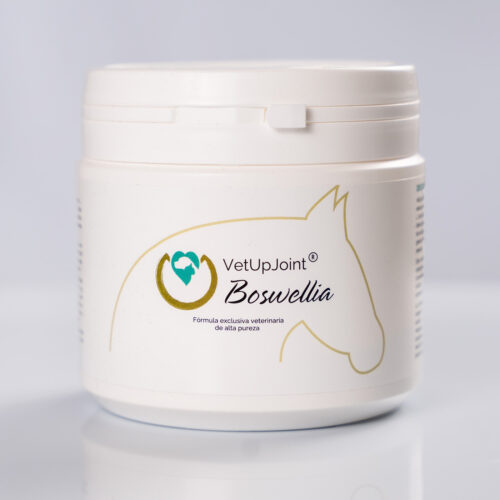 boswellia caballos vetupjoint